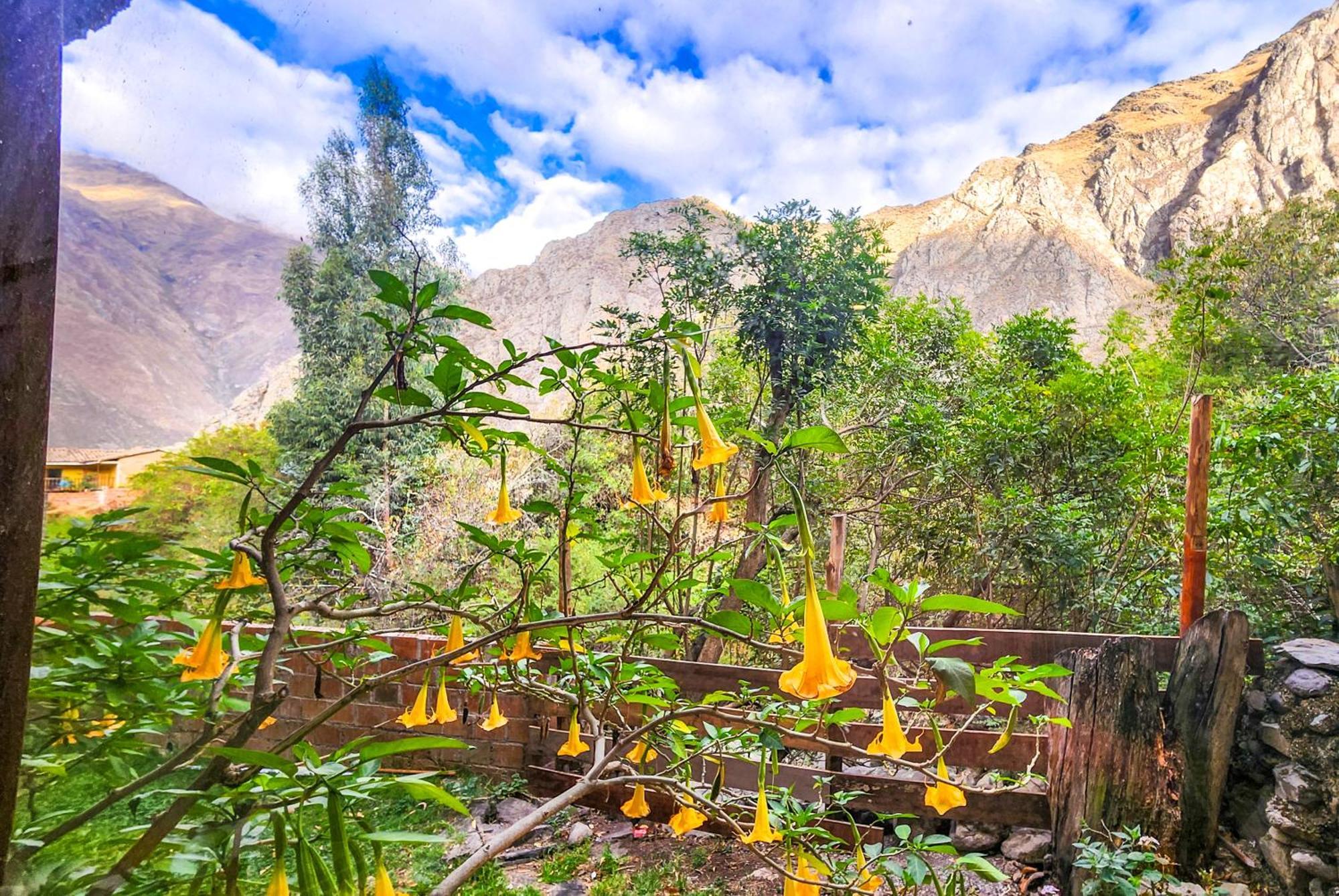 Peru Quechua'S Lodge Ollantaytambo Exterior photo